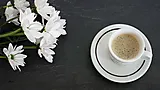 655ae23361bcd373d69d3712|6556220e6829020a40c24484|2