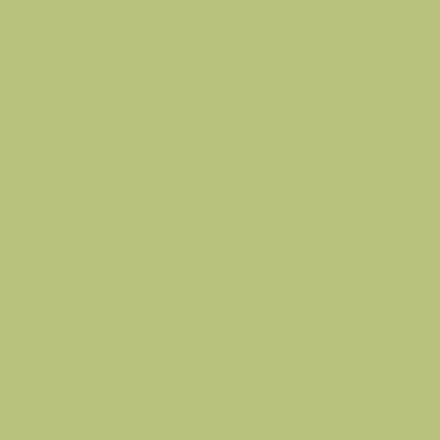 Laminat Formica Compact F3007 MAT CGS pale olive