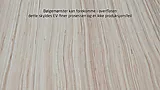 655ae2346829020a40c26c66|6556247a7861793718d8b4a8|5