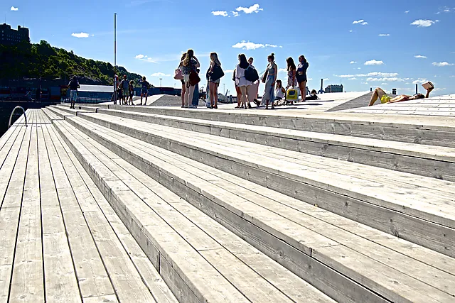 Bryggedekke Kebony Character