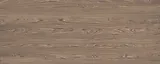 67d7d53eed7b504fc2b1d982|2